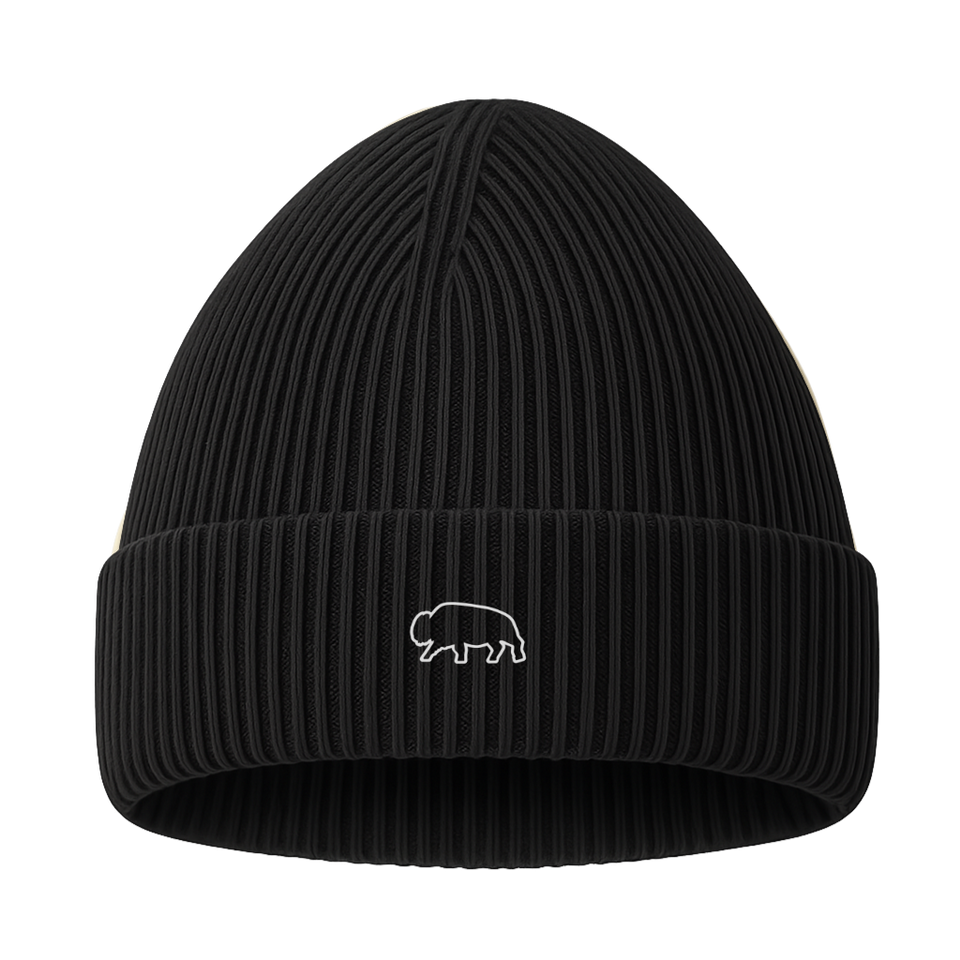 Black beanie with a small logo on a white background
